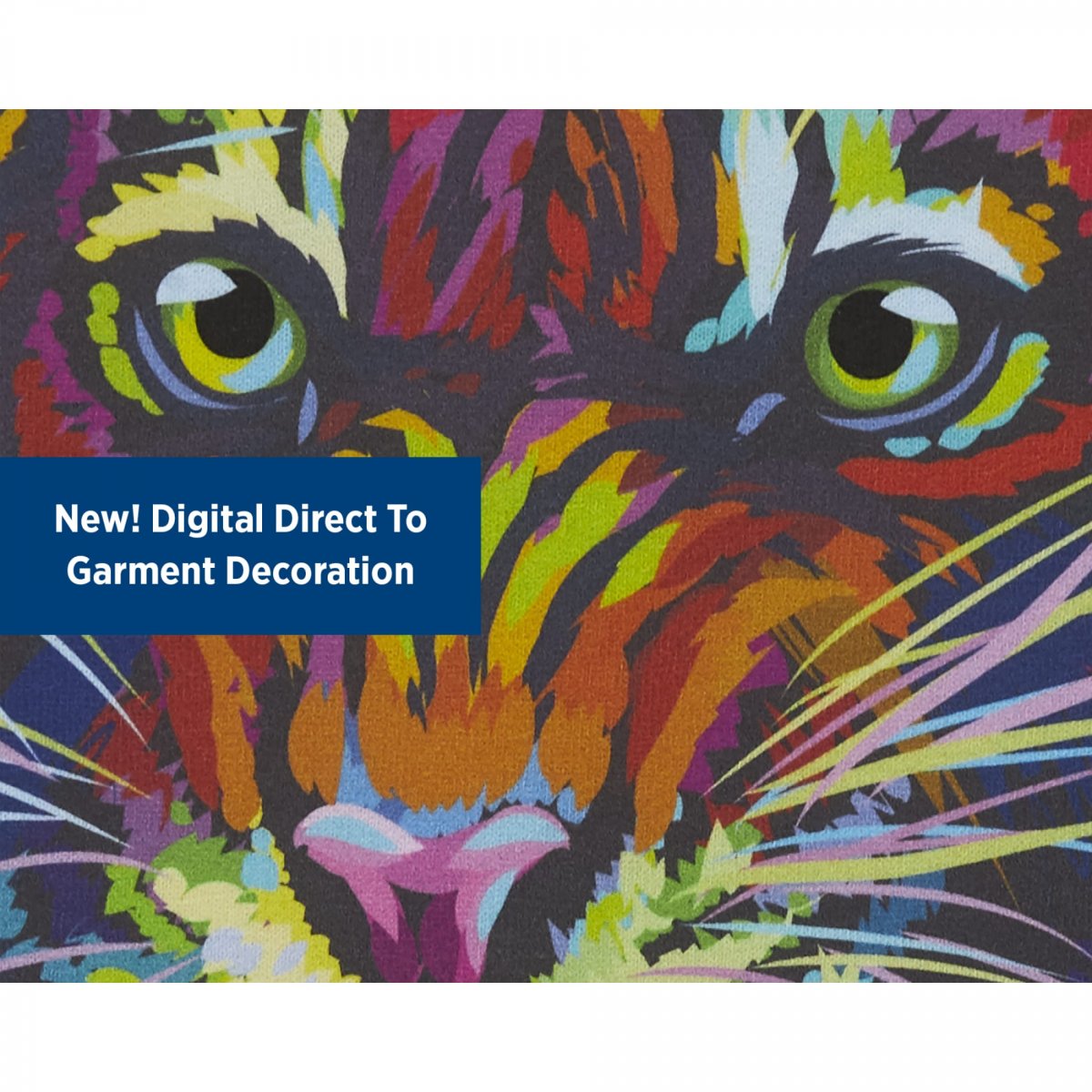 TM98148__889_A_Deco_FR